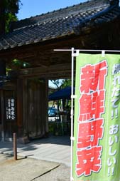 ガラス展報告