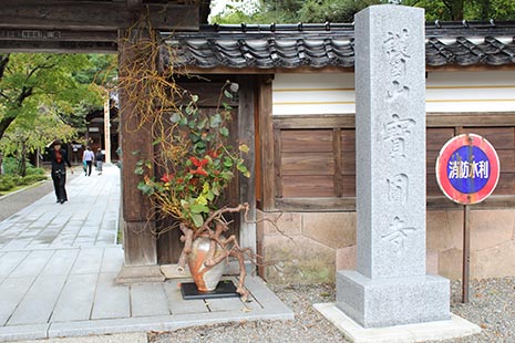 第７回栄波いけばな教室 華展