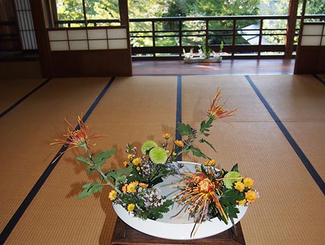 いけばな小原流金沢支部青年部花展～やあい～